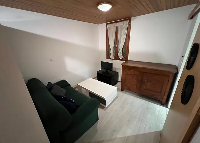 T1-bis Apartamento Blagnac